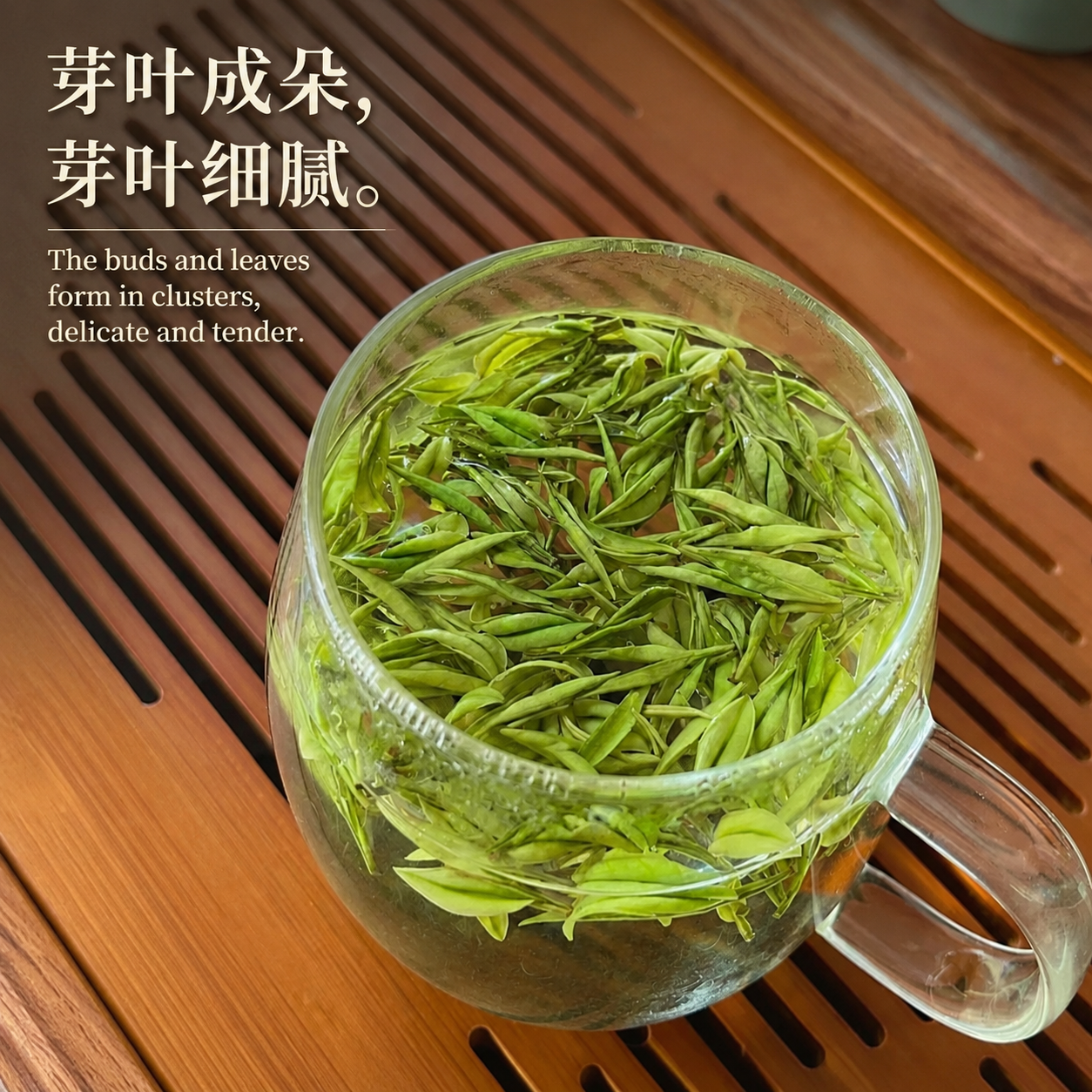 anji white tea(安吉白茶) anji white tea(安吉白茶)