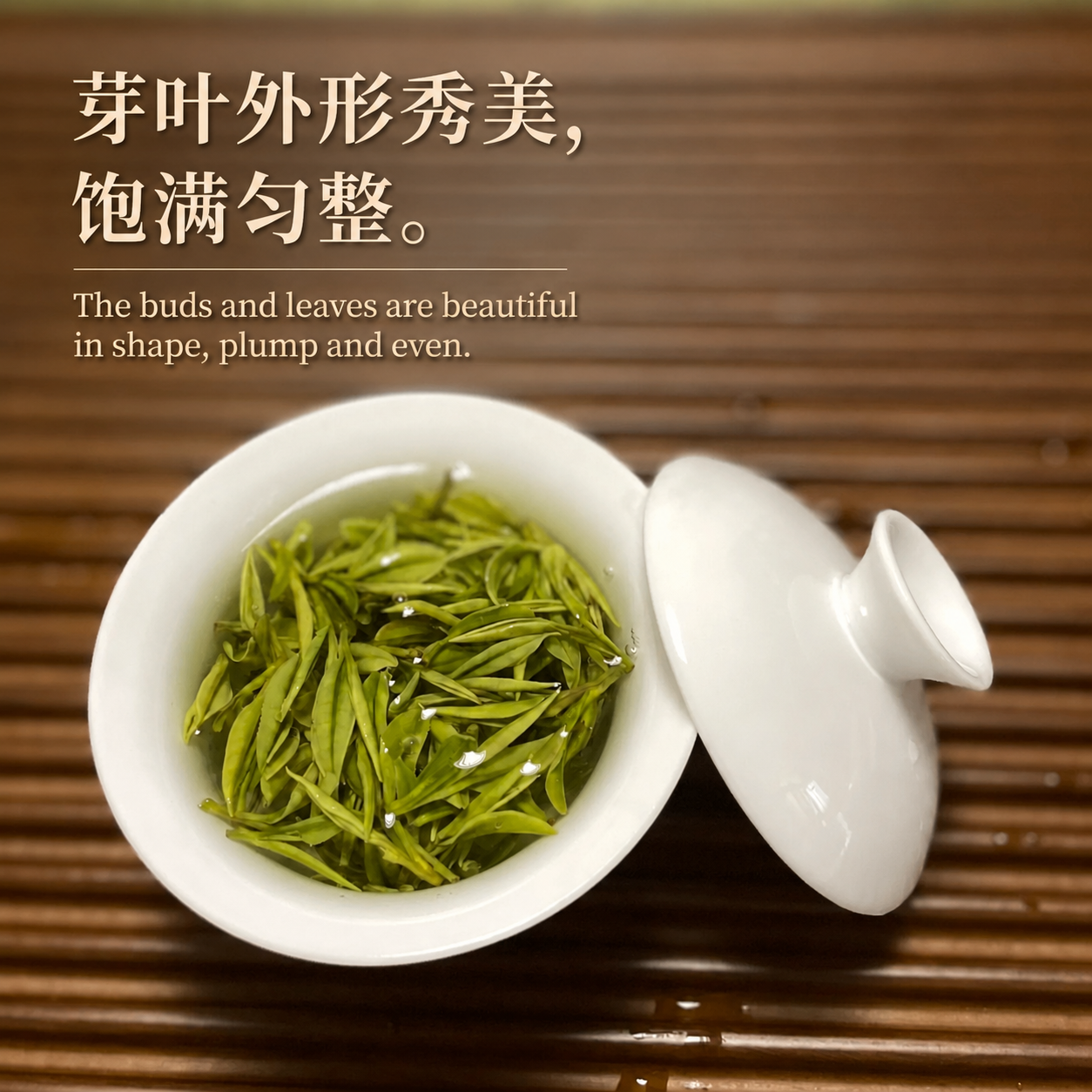 anji white tea(安吉白茶) anji white tea(安吉白茶)